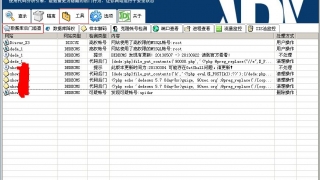D盾_Web查杀WebShellKill windows平台网站防护软件